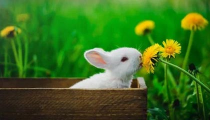 韩国空难一女乘客出发前预留丧葬费，老父亲哭到无泪