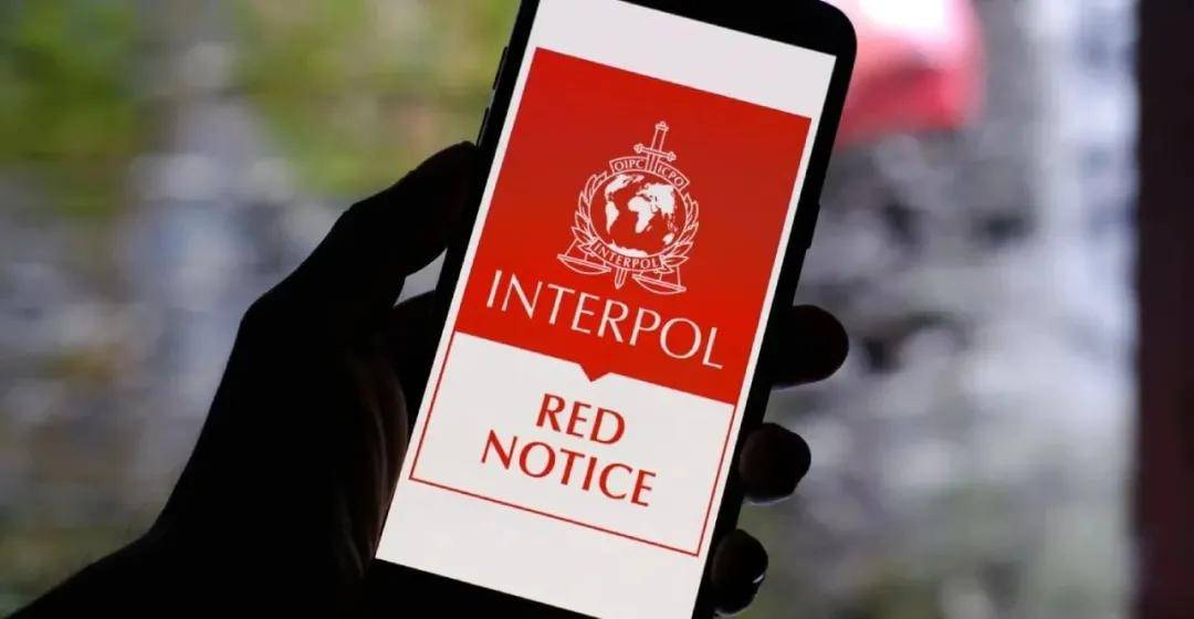 “行走的人民币”!香港“币少爷”被全球通缉!游泳教练变成币圈骗徒的故事!