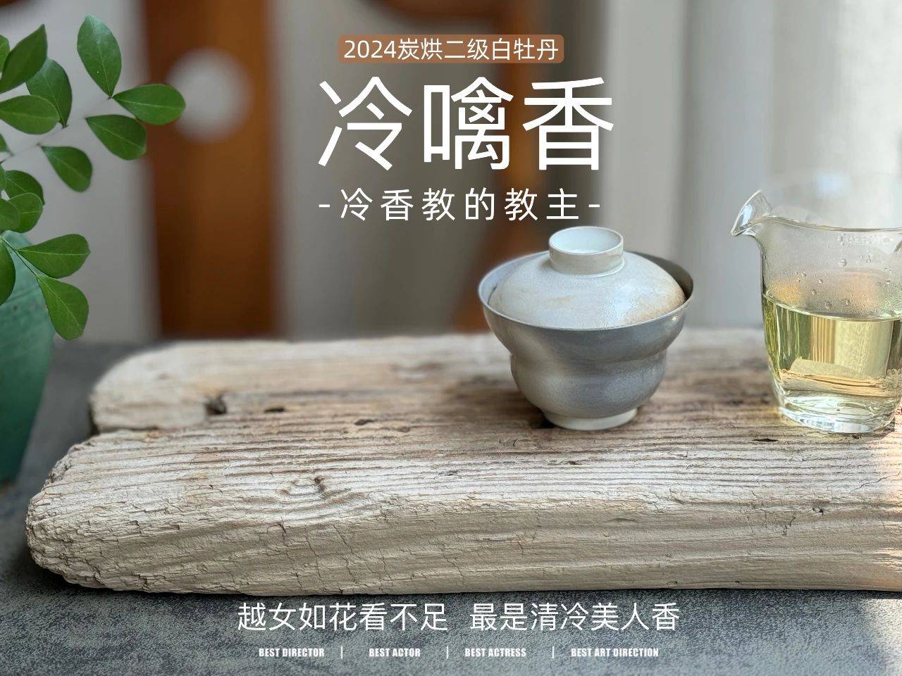 闷泡茶、异味茶、做旧茶,白茶圈公认的3大劣质茶,早知道早避坑