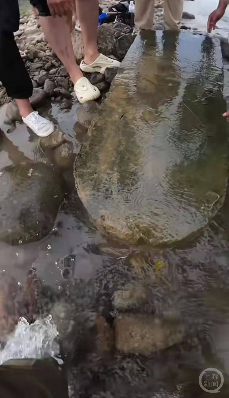 “当时就无心钓鱼了!”河南钓友在洛阳附近“钓”到古碑?文保部门回应