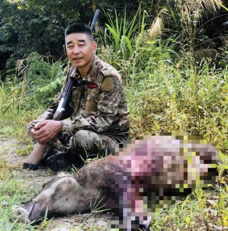 机械师处置野猪侵线被撞背后:野猪数量激增,多地奖励猎捕