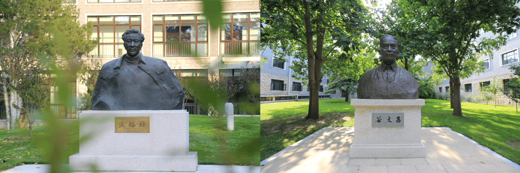 时政微观察丨打开改革发展新天地,总书记这样强调