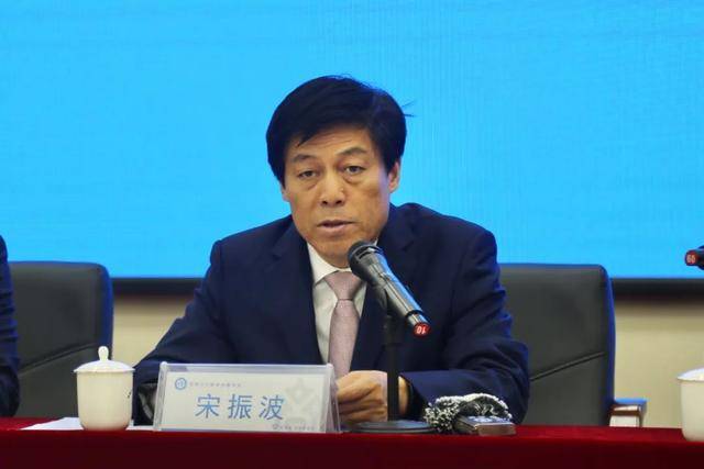 宋振波,主动投案