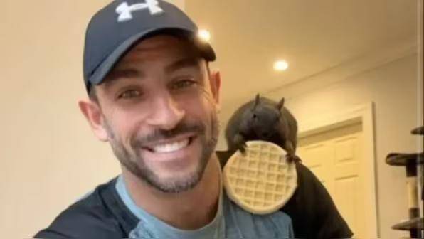 网红松鼠被强制安乐死,在美掀起风波!马斯克怒批,主人发声