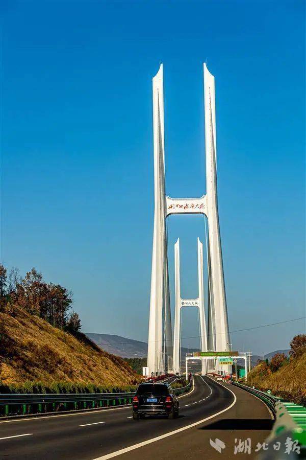 最新！珠海驾车撞人案嫌犯樊某被批捕