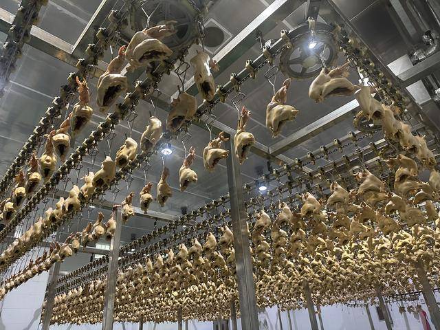 “没有一只鸡能活着飞出滑县”,道口烧鸡开启新纪元