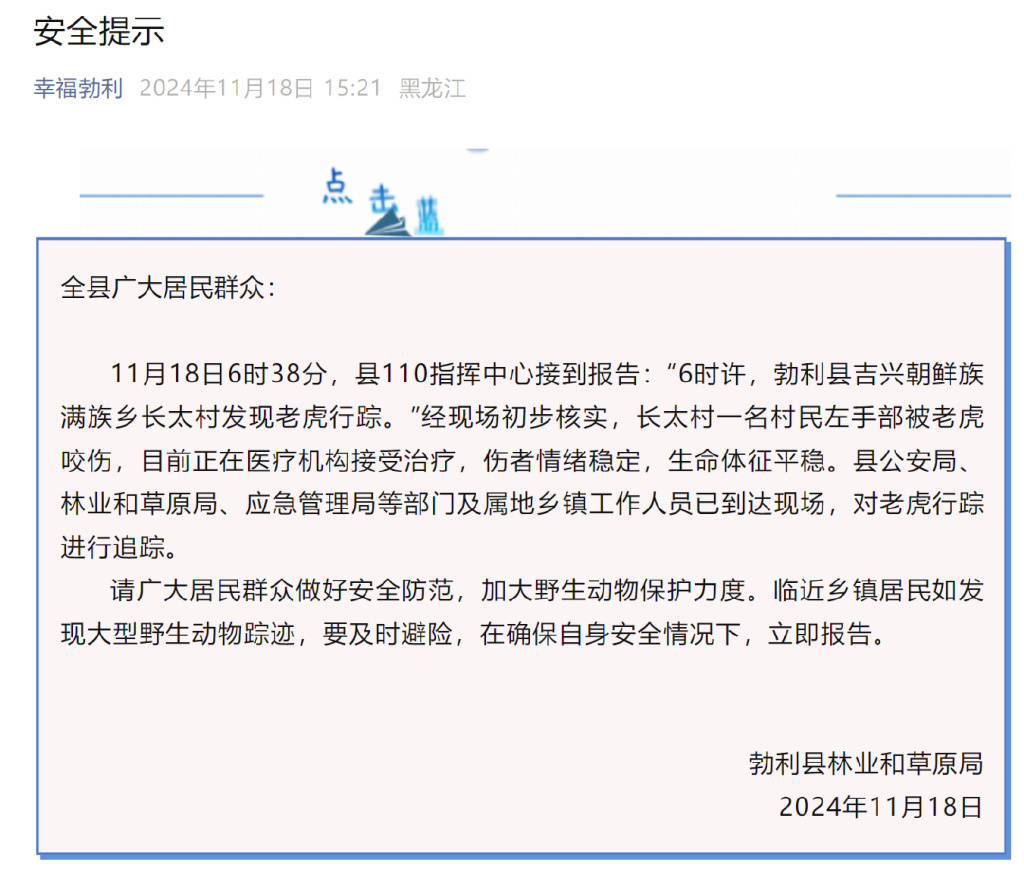 突发!老虎进村咬伤村民!家属:有两只!最新消息→