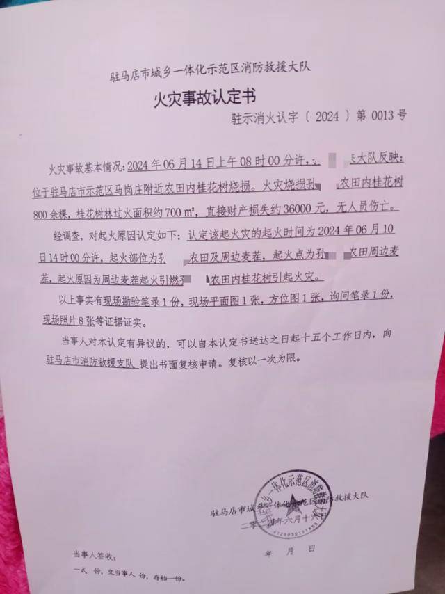 群众近千棵桂花树被烧死,为何不立案?驻马店回应