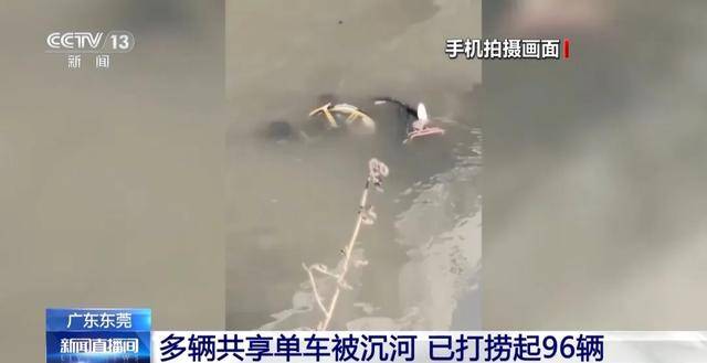 已捞起96辆!东莞共享单车被破坏沉河,捞一辆需要6个人,律师提醒