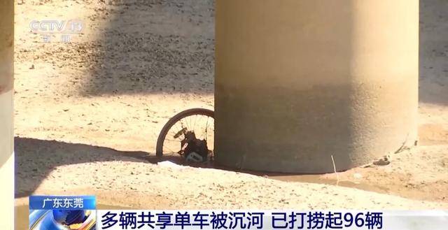 已捞起96辆!东莞共享单车被破坏沉河,捞一辆需要6个人,律师提醒