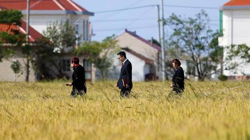 微视频|宪法之力 守护你我