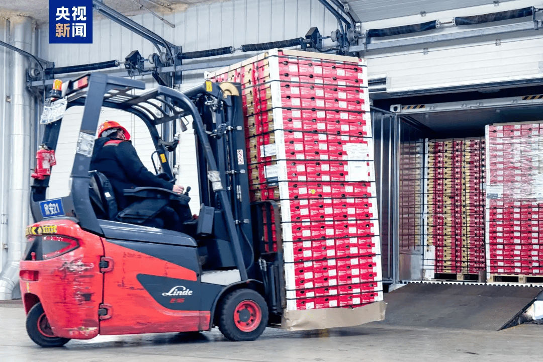 大跳水!“断崖式”降价!网友:等不及了