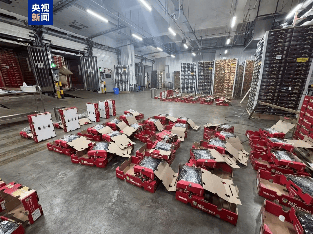 大跳水!“断崖式”降价!网友:等不及了