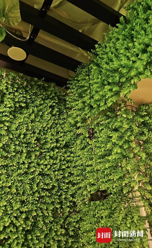 对话打击偷拍摄像头“影子”博主:压力太大,团队准备解散丨封面头条