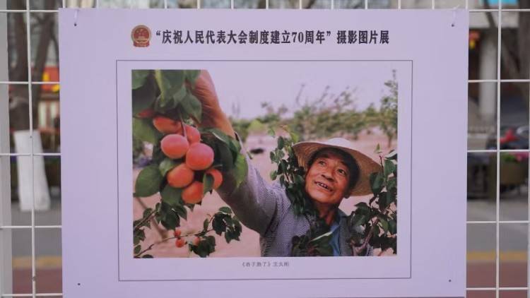陕西榆林市横山区“庆祝人民代表大会制度建立70周年”摄影图片展开展