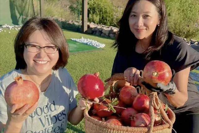 万万没想到,“丁克”了半辈子的徐静蕾,如今却成了人生赢家