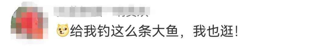 江西男子钓到56斤鳡鱼绕城5小时炫耀:不是天冷能逛到第二天