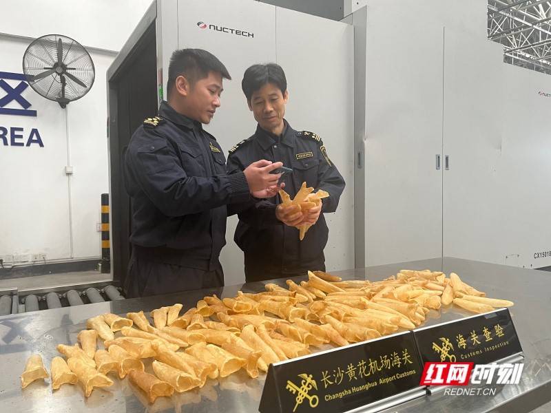 1084公斤乌干达干鱼鳔首次从长沙机场口岸入境,作用还挺大