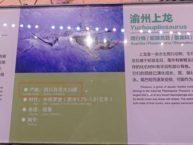 “天工开物”写成“天宫开物”,成都多家博物馆被指展品标识错误,回应:尽快更正