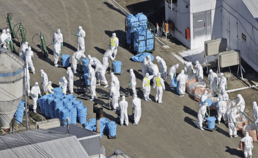 大S真实死因有变?为何没住院?相关人士:日本大医院并非患者想去就去