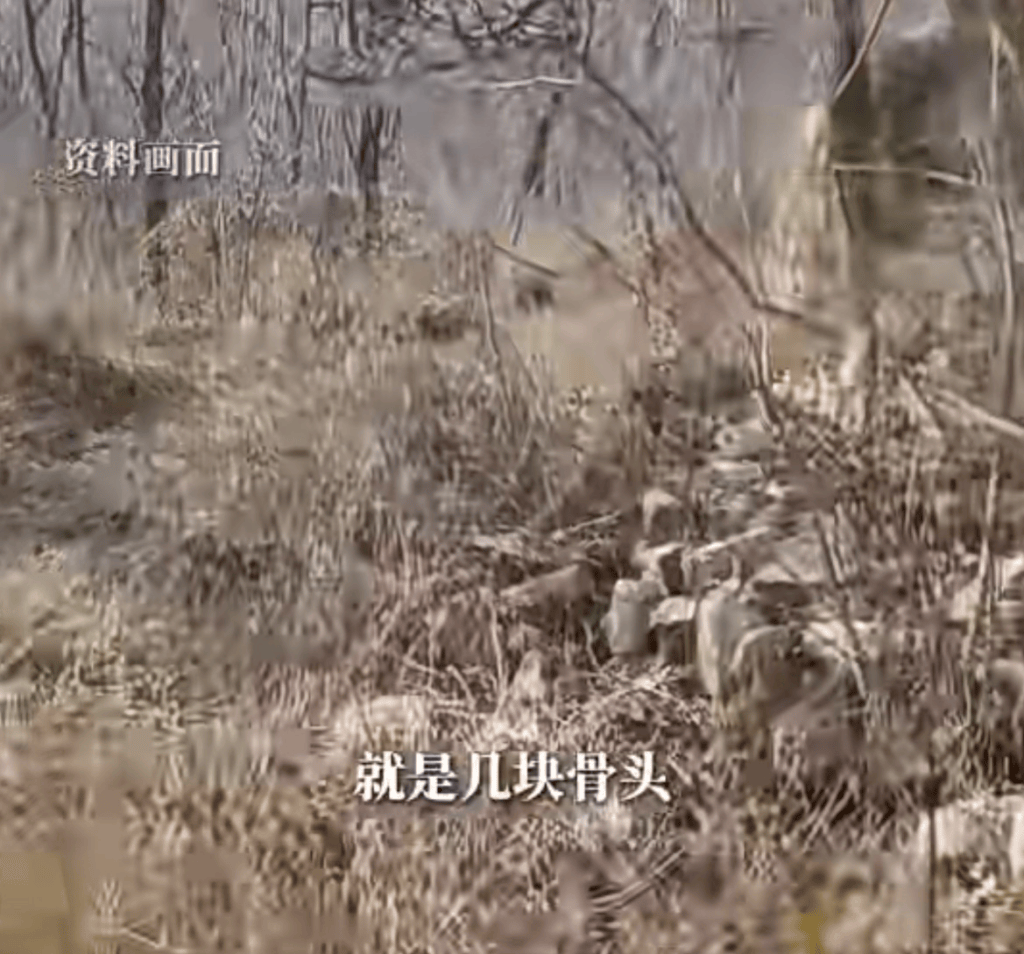 山东淄博一男子上山采药发现人体骸骨!官方回应