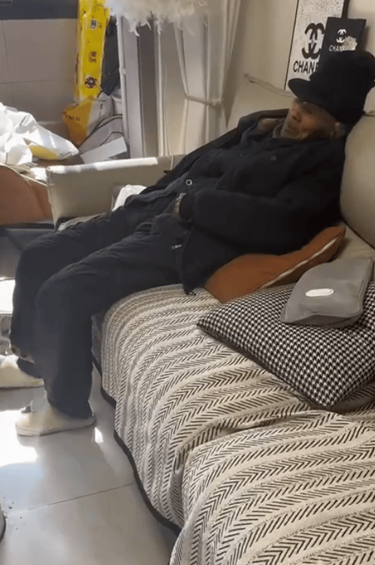 安徽老人被接到城里坐立难安,回村瞬间精神抖擞,网友:回村前83岁,回村后63岁