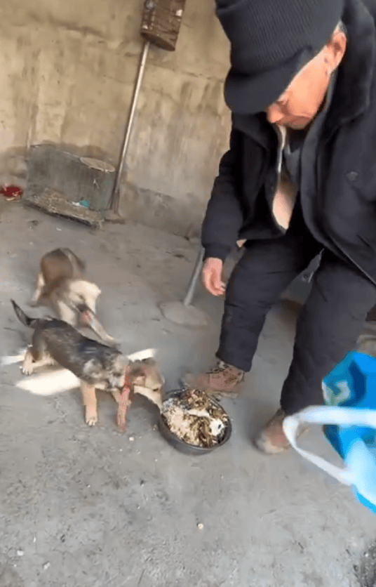 安徽老人被接到城里坐立难安,回村瞬间精神抖擞,网友:回村前83岁,回村后63岁