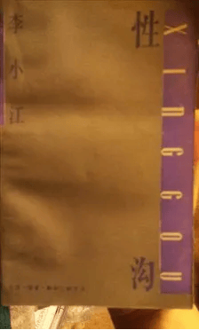 李小江:想在有限的岁月里,多做一些基础性的奠基工作 | 纪念