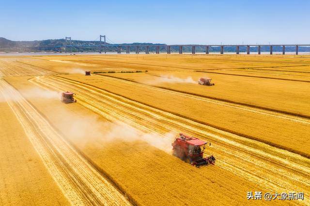 民营企业座谈会 对河南的三个启示|豫观察