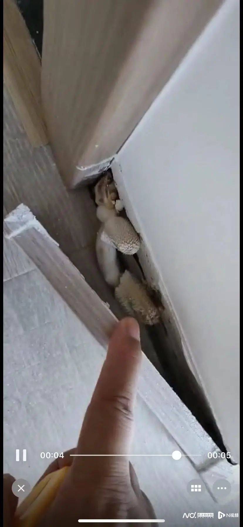 “深更半夜,又掉一大块下来”!广东一小区业主怒了