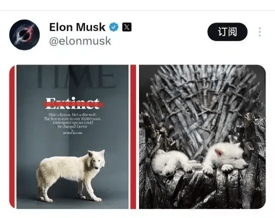 《权力的游戏》中的冰原狼被这家公司复活,马斯克发帖关注