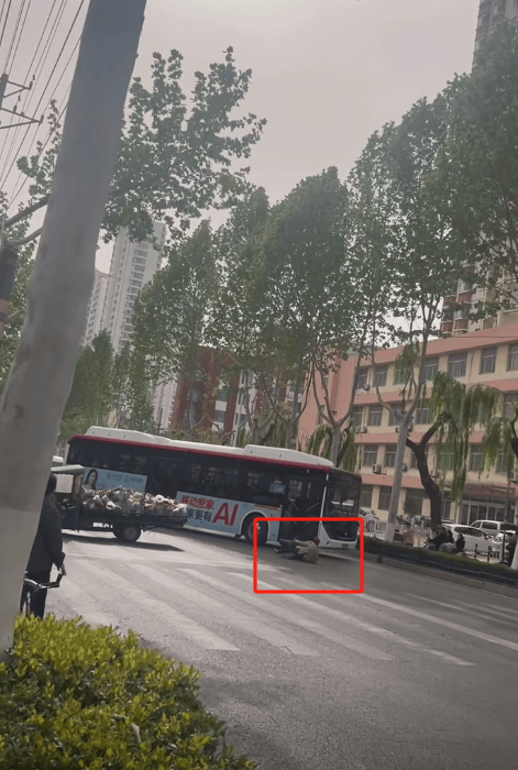 山东临沂一摊贩将盆栽摆满整条路，躺地上阻止公交车通过，派出所：已出警处理