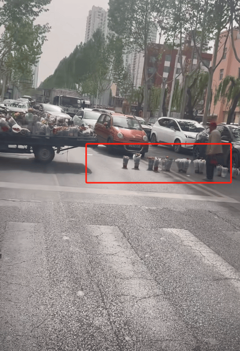 山东临沂一摊贩将盆栽摆满整条路,躺地上阻止公交车通过,派出所:已出警处理