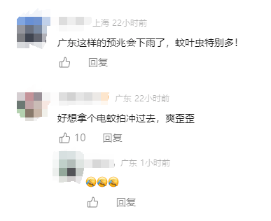 头皮发麻!广东一地现“蚊卷风”!网友:根本不敢张嘴