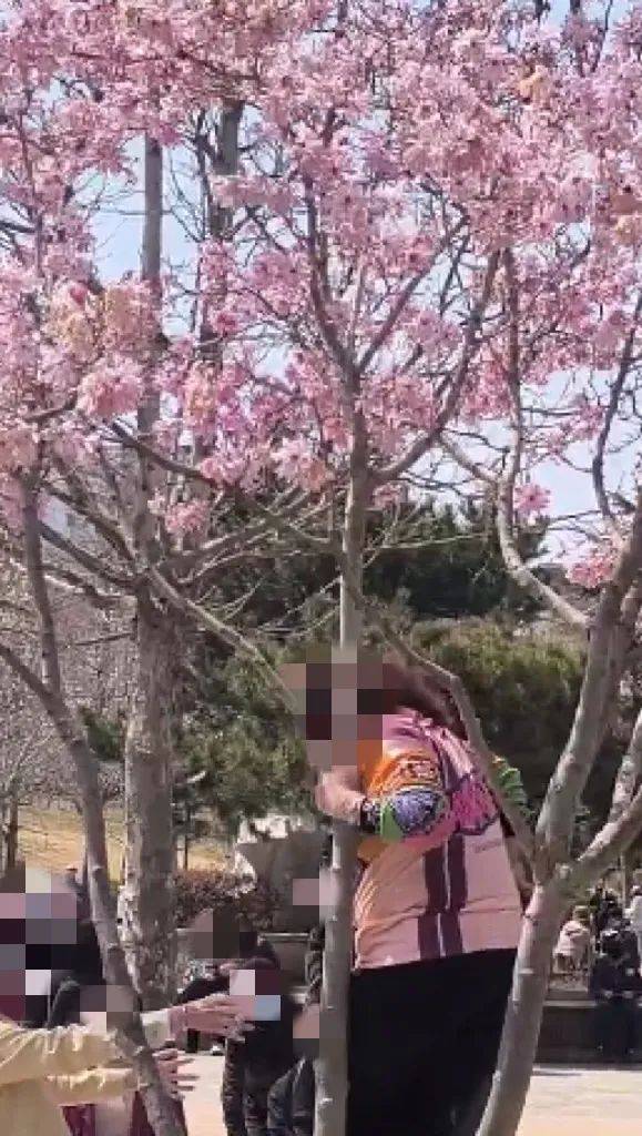 事发劳动公园!这4名女子,你们这么做不脸红吗?