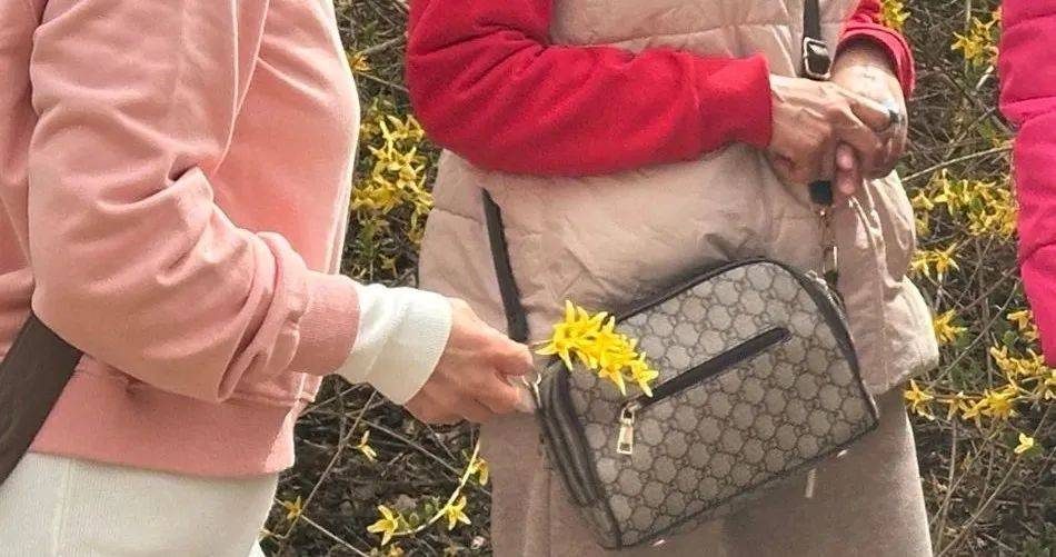 事发劳动公园!这4名女子,你们这么做不脸红吗?