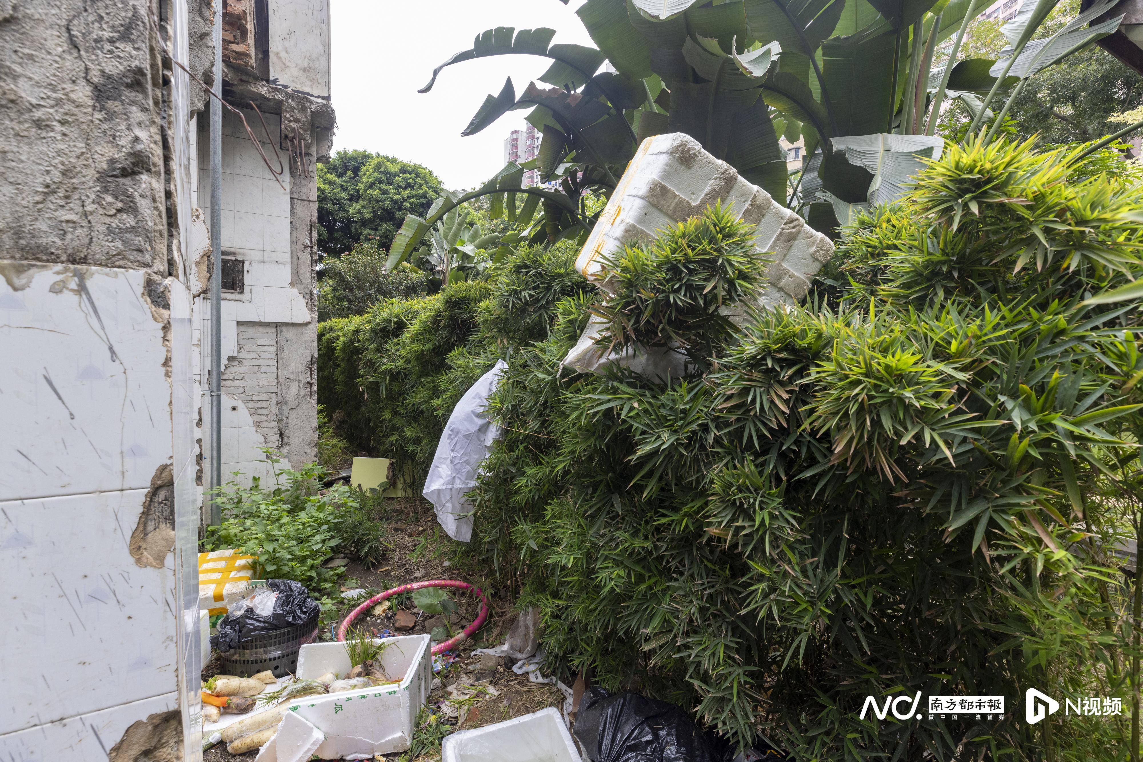 暗访广州口袋公园:草坪秃了设施失修,“最美公园”垃圾堆积