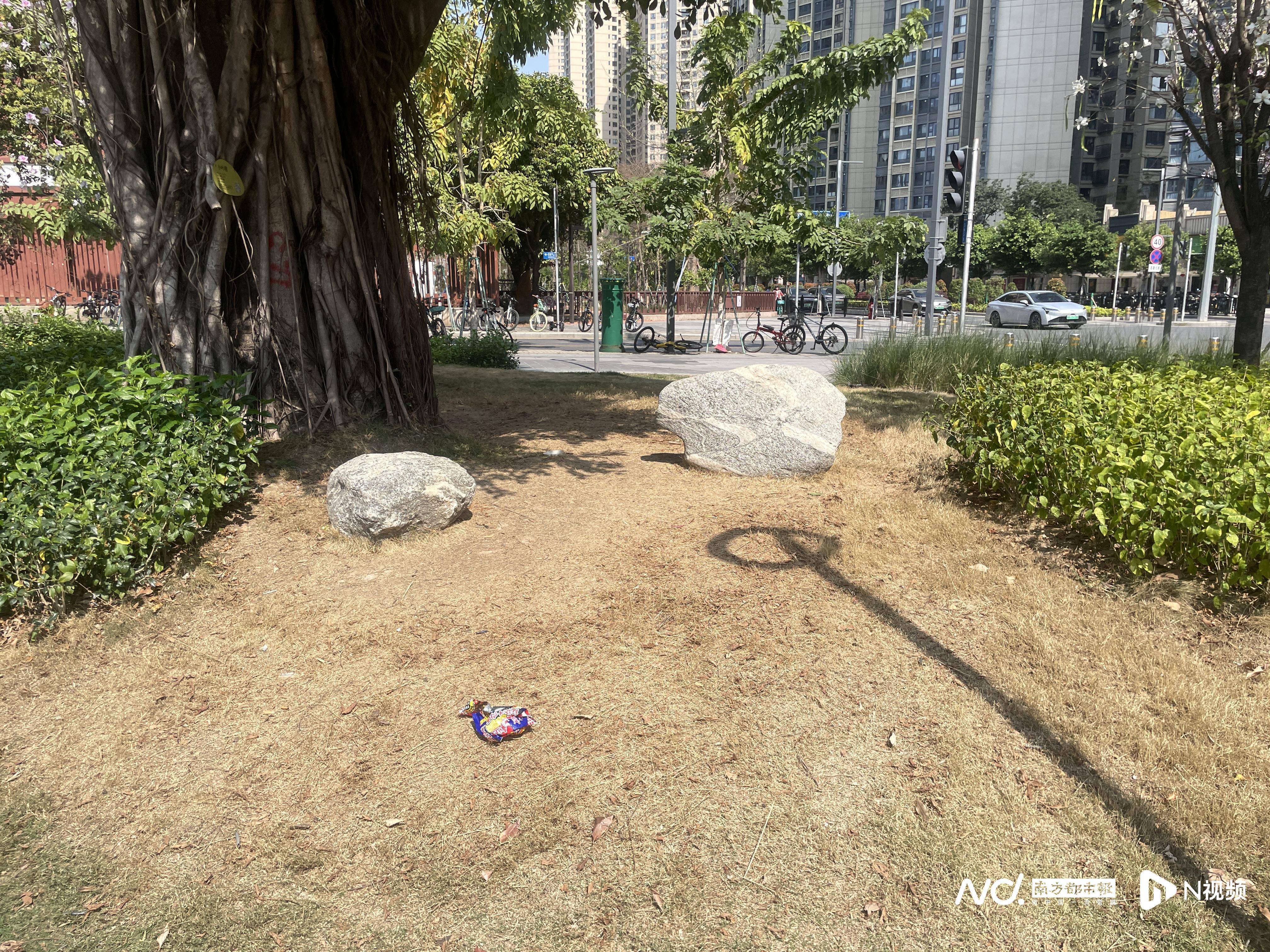 暗访广州口袋公园:草坪秃了设施失修,“最美公园”垃圾堆积