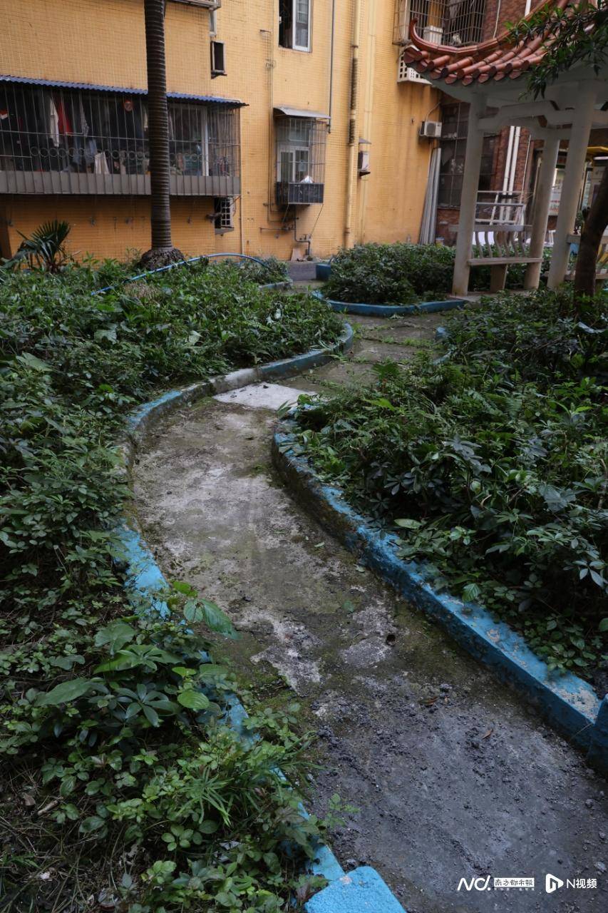 暗访广州口袋公园:草坪秃了设施失修,“最美公园”垃圾堆积