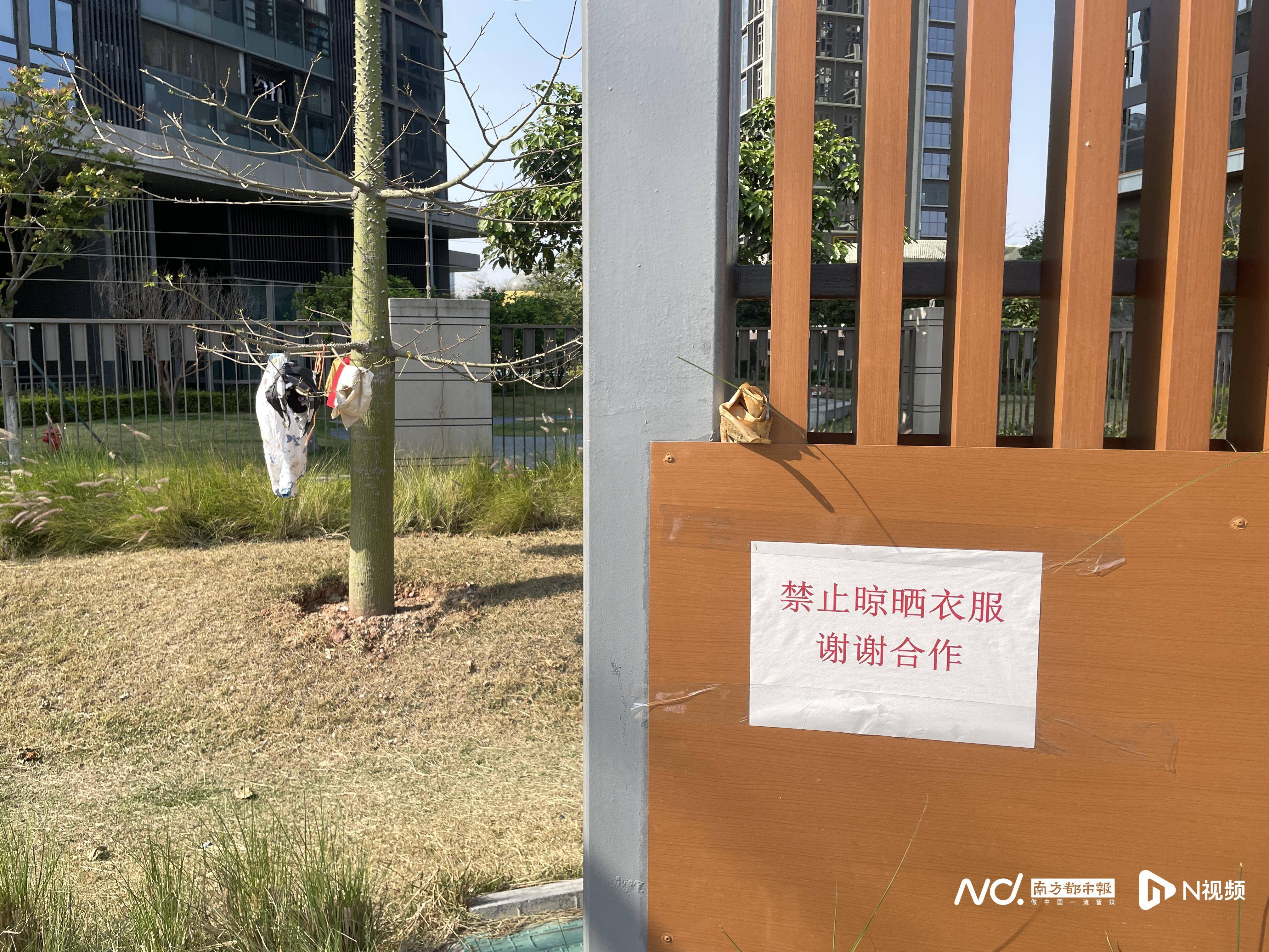 暗访广州口袋公园:草坪秃了设施失修,“最美公园”垃圾堆积