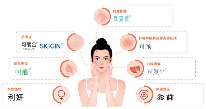 深挖 | “西北大学副校长范代娣成陕西首富”系乌龙,但她的人生如同开挂