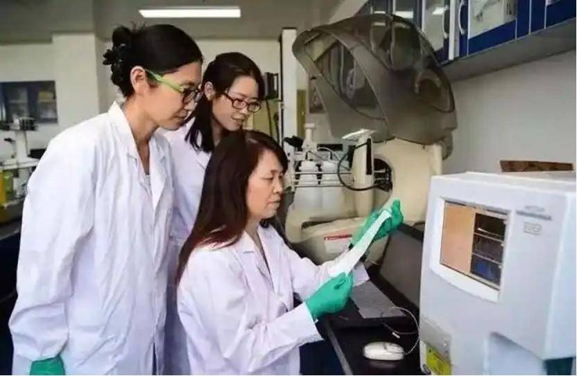 深挖 | “西北大学副校长范代娣成陕西首富”系乌龙,但她的人生如同开挂