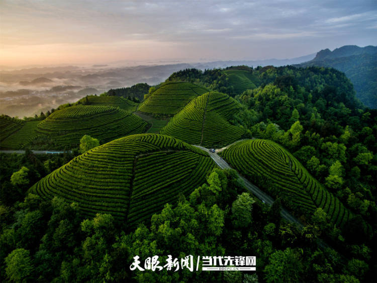 从4132亿到1.31万亿!贵州县域经济“兴”动山海