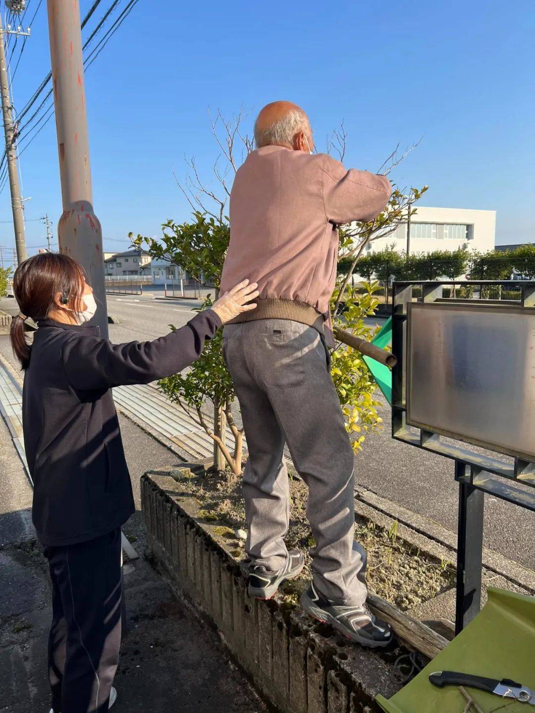 日本养老神话,也“塌房”了?