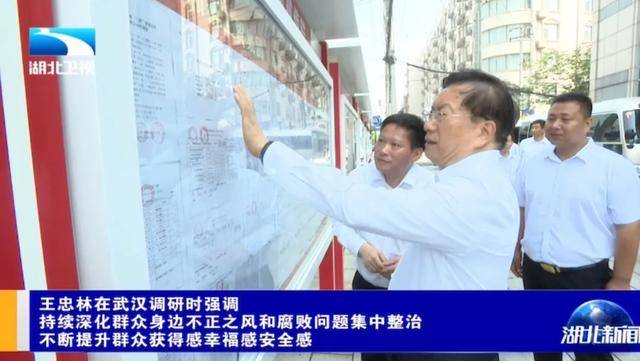 事关中央重大决策部署!湖北省委书记王忠林,到村里察看公示栏