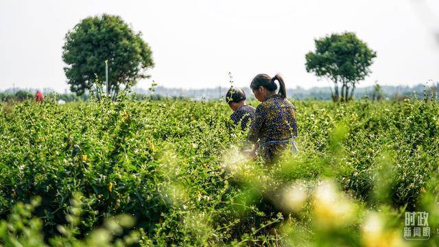 时政新闻眼丨再赴河南考察,习近平为何强调这两个关键词?