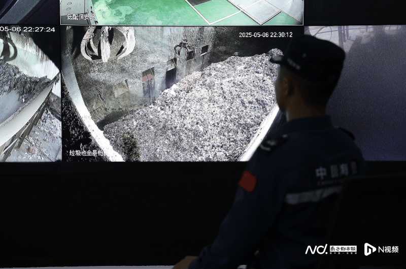 焚烧牛肚、猪肚等,约1200吨!深圳海警局集中处置