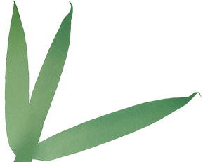 马上放假啦!逛商圈、逛景区……外出游玩,别忘了这件事