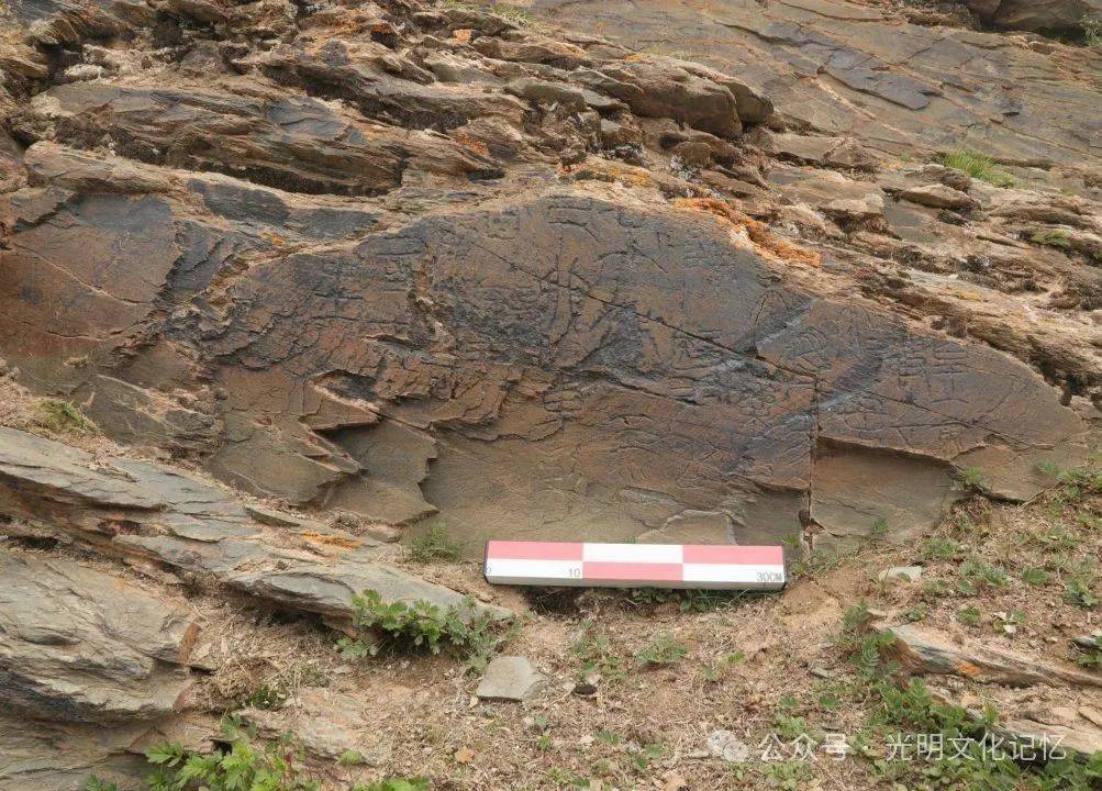 青海“秦始皇遣使采药昆仑石刻”陷入真假争议,涉事各方回应