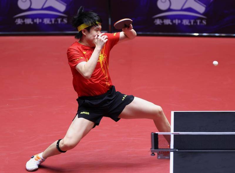 乒超联赛丨樊振东一日四战全胜 王楚钦率队豪取两连胜
